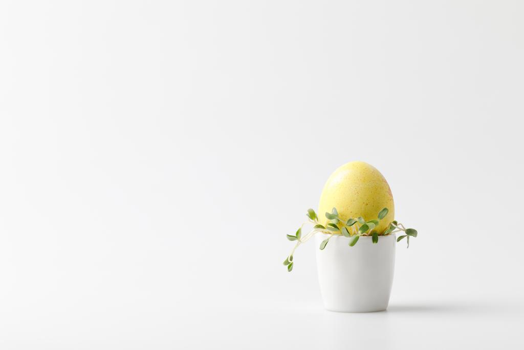 huevo de Pascua pintado amarillo en soporte de huevo sobre blanco
 - Foto, imagen