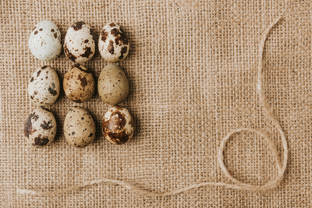 Ορτύκια αυγά για τον καθορισμό σε μια σειρές σε λινάτσα με σχοινί - Φωτογραφία, εικόνα