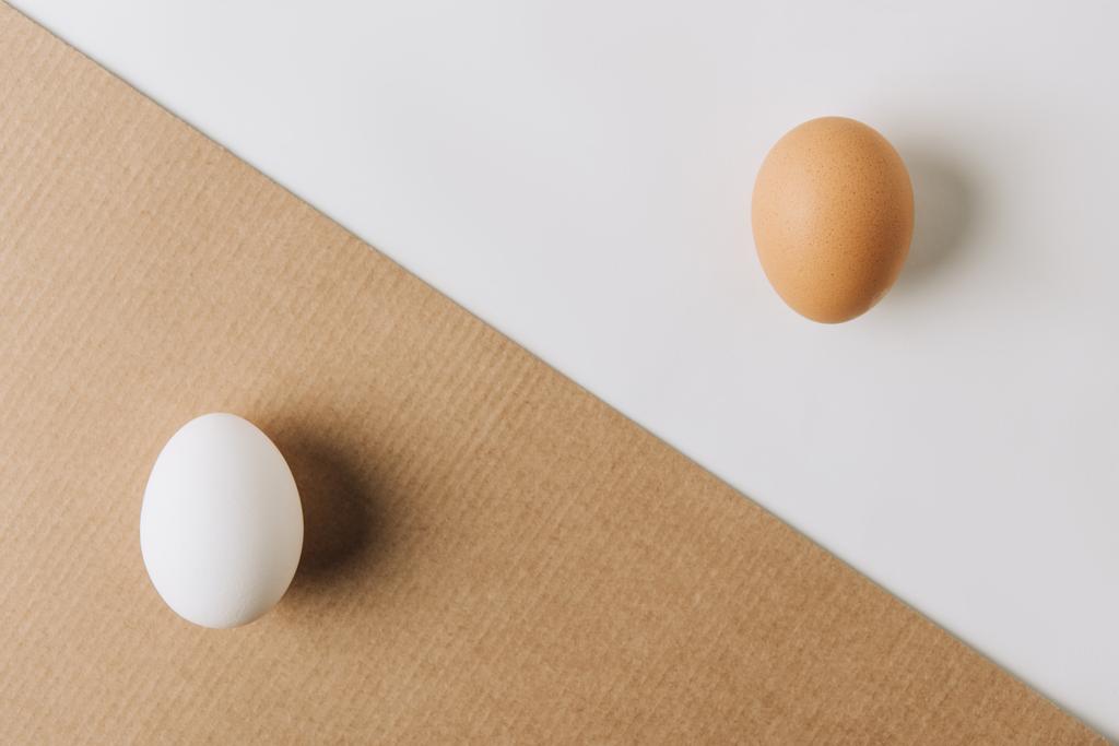 white egg laying on brown carton and brown egg on white background - Photo, Image
