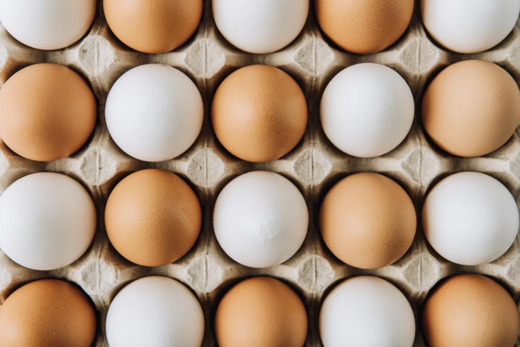 witte en bruine eieren leggen in ei karton, volledige frame shot  - Foto, afbeelding
