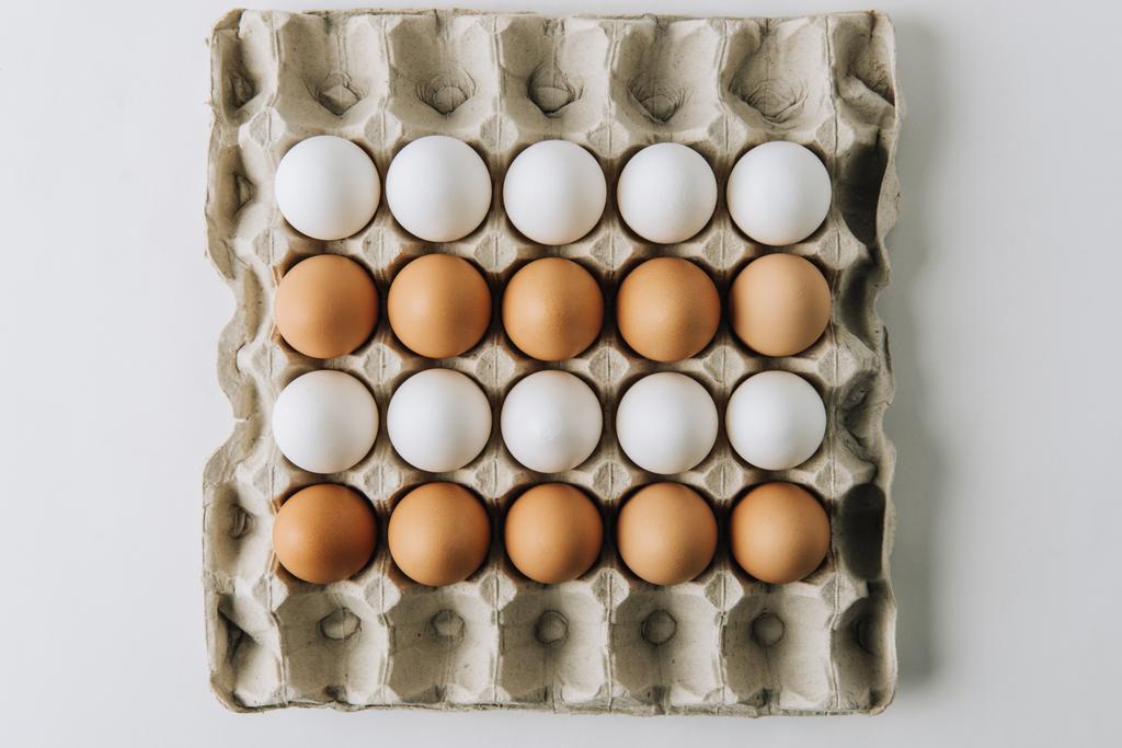 白と茶色の卵が白い背景の上の卵のカートンに敷設  - 写真・画像