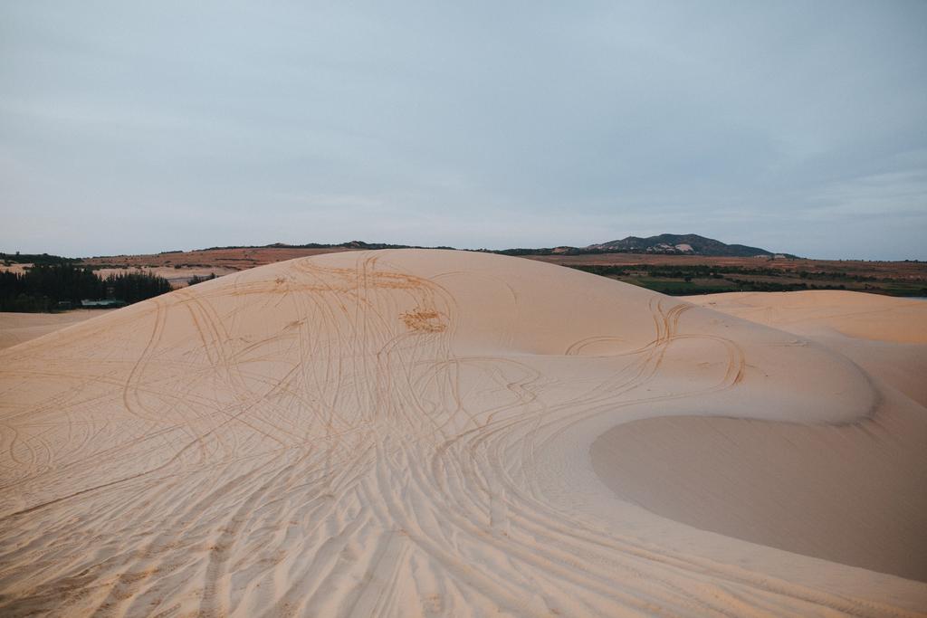 písečné duny - Fotografie, Obrázek