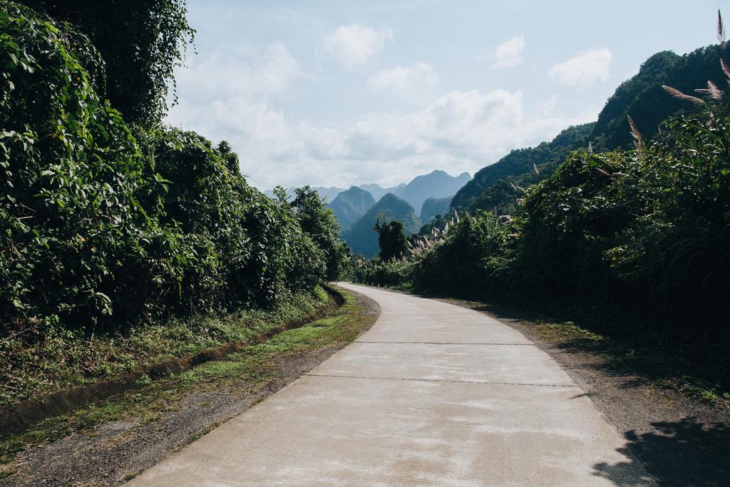 maaseudun tie kauniilla vuorilla Phong Nha Ke Bang kansallispuisto, Vietnam
 - Valokuva, kuva