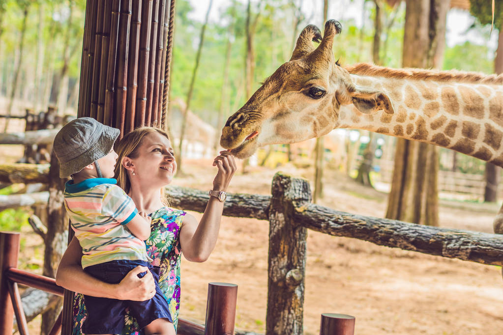 Madre e figlio felici che guardano e danno da mangiare alla giraffa allo zoo. Famiglia felice divertirsi con gli animali nel parco safari nella calda giornata estiva
. - Foto, immagini