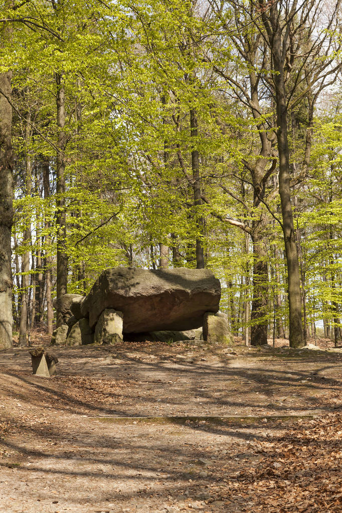 Neolitik geçiş mezar, Megalithic taş Osnabrueck-acele, Osnabrueck ülke, Almanya  - Fotoğraf, Görsel
