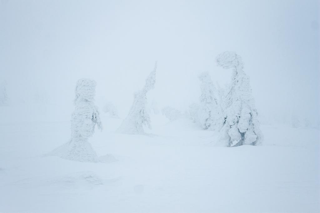 Neve Blizzard
 - Foto, immagini