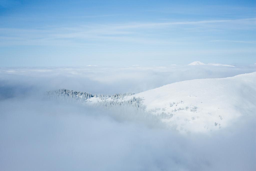 köd - Fotó, kép