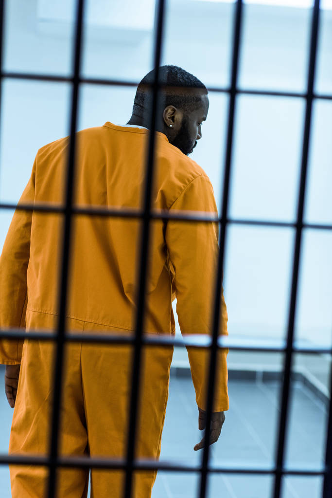 rear view of african american prisoner behind prison bars - Photo, Image
