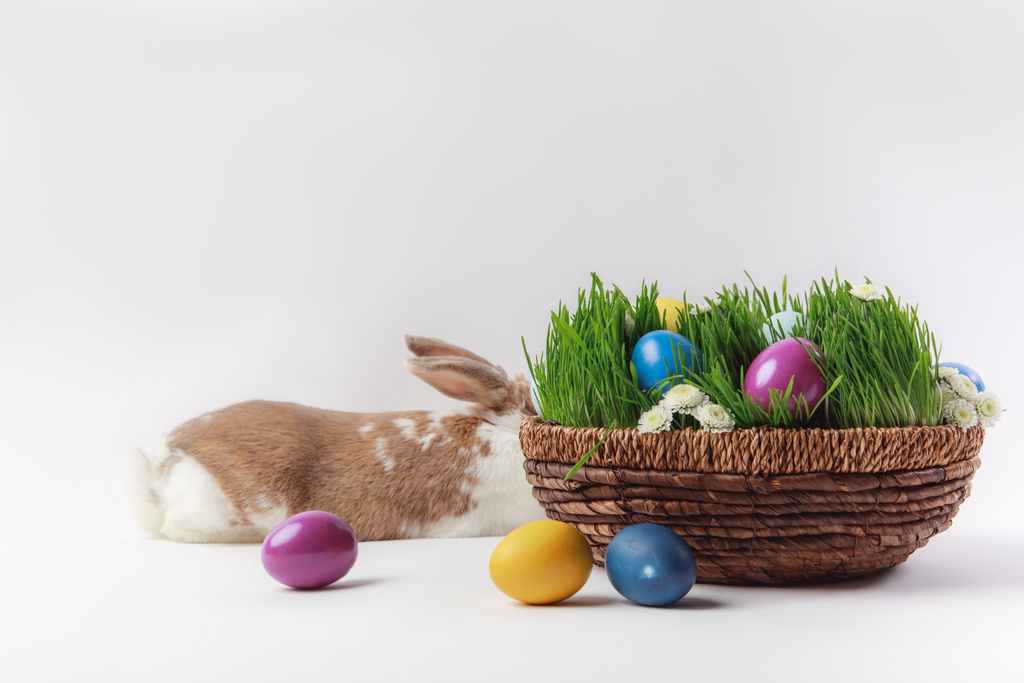 Liegender Hase und Korb mit Gras und bemalten Ostereiern, Osterkonzept - Foto, Bild