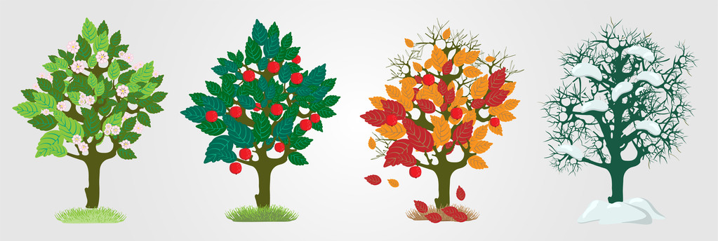 Árboles de temporada. Ilustración vectorial
 - Vector, Imagen