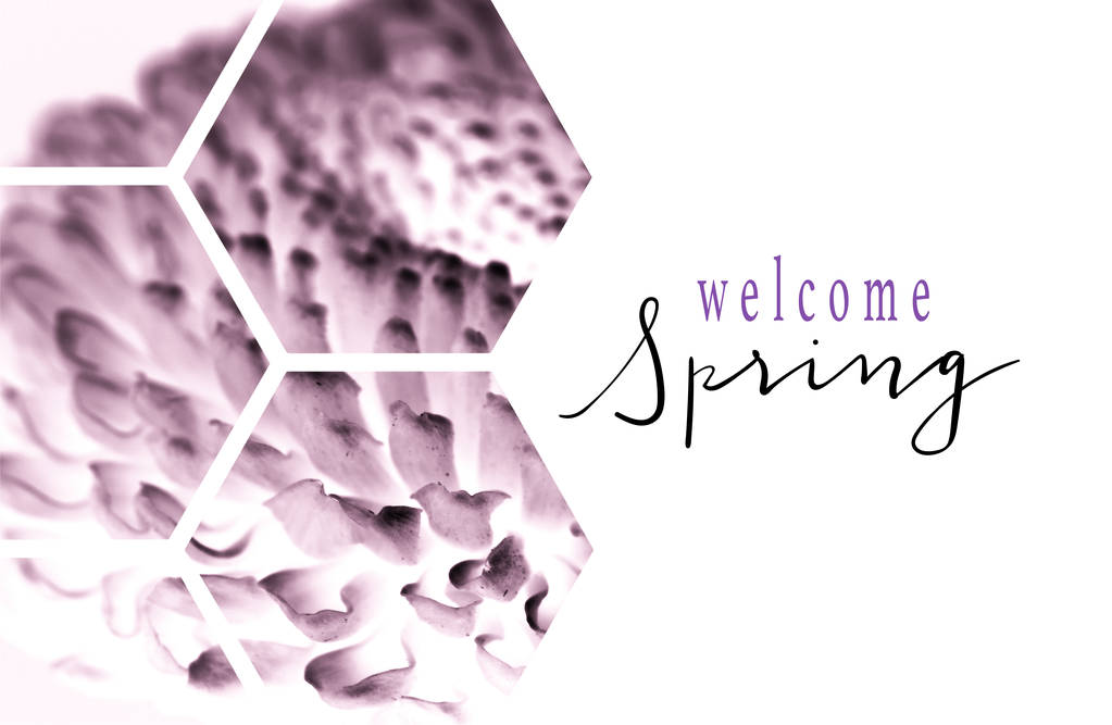 ver a través de hexágonos transparentes en flor púrpura con letras WELCOME SPRING aisladas en blanco
 - Foto, Imagen