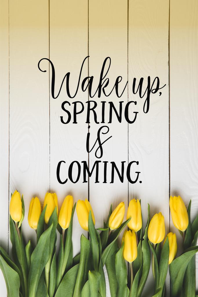 вид сверху на красивые цветущие желтые тюльпаны и WAKE UP. SPRING is COMING lettering on white wooden surface
 - Фото, изображение