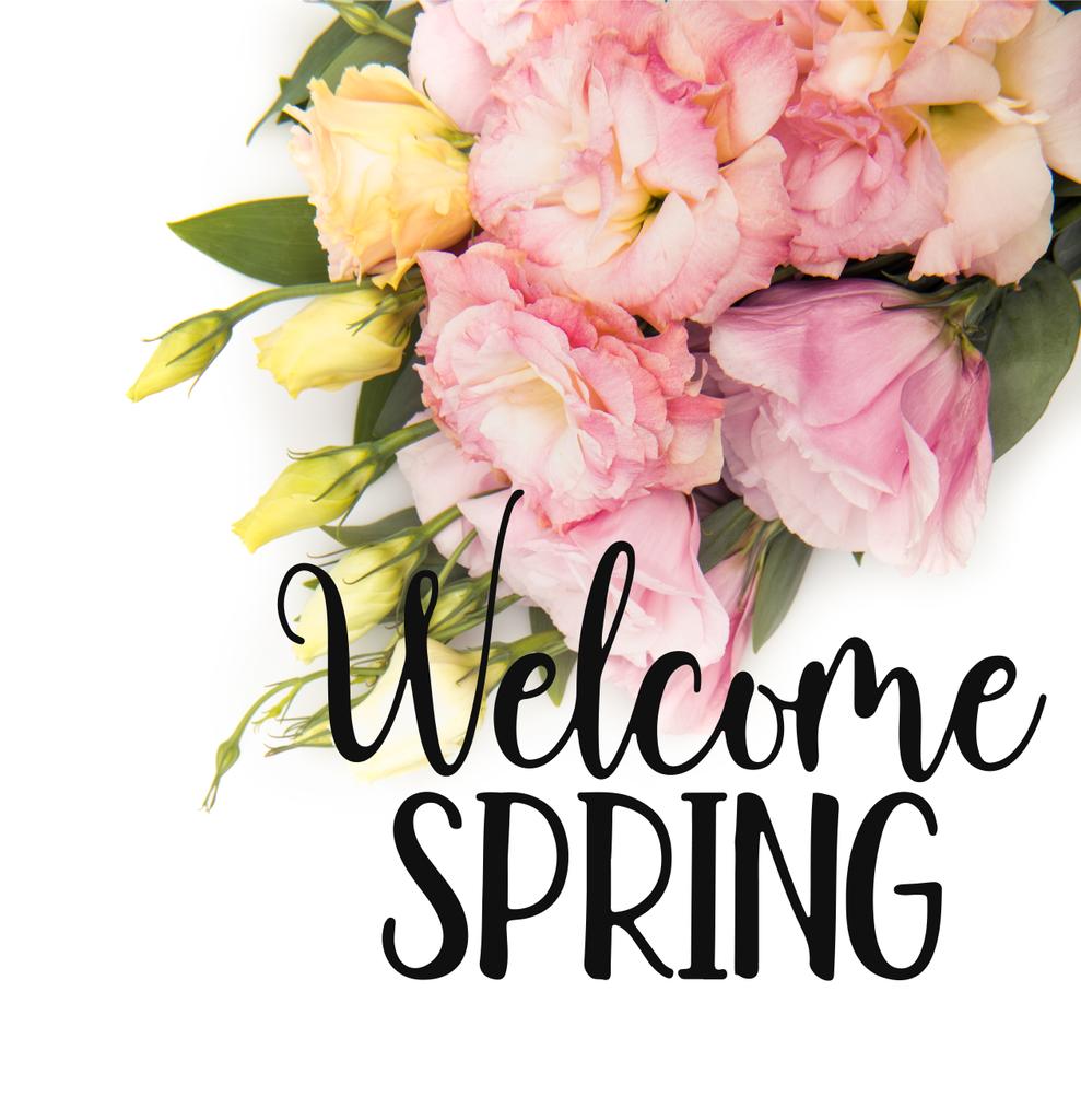 Vista superior de letras WELCOME SPRING con hermosas flores tiernas y brotes aislados en blanco
 - Foto, imagen