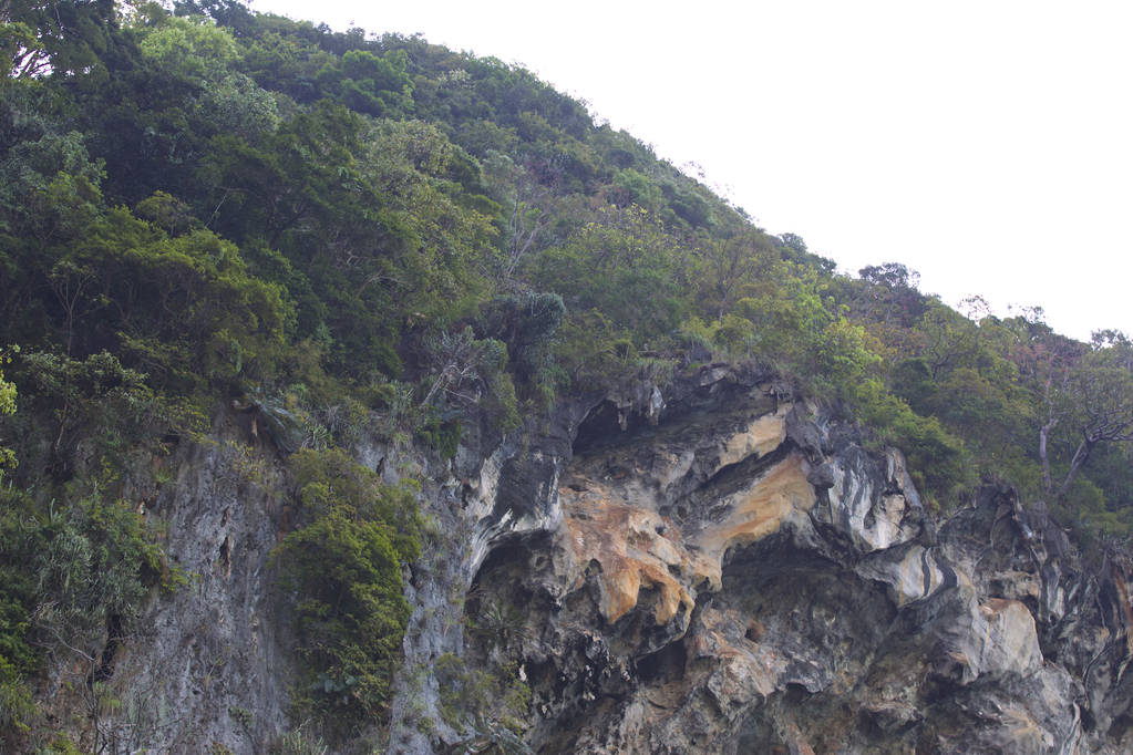 Szczegóły i formularze skał na półwyspie Railay w Krabi, Tajlandia - Zdjęcie, obraz
