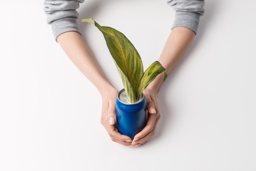 tiro recortado de mujer sosteniendo lata con hojas verdes en el interior aislado en gris, concepto de reutilización y medio ambiente
 - Foto, imagen