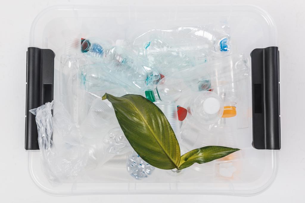 top view of container with plastic bottles and green leaves isolated on white, recycling concept - Photo, Image