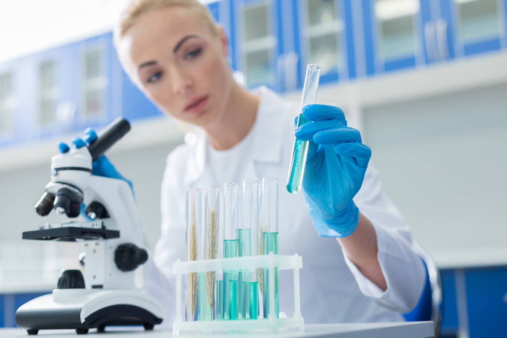 Campioni di laboratorio. Focus selettivo delle provette con reagenti blu utilizzati per la ricerca scientifica nel laboratorio medico
 - Foto, immagini
