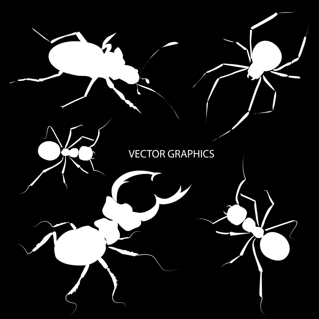 Vector bugs silhouettes. Vector illustration. - Vector, Image