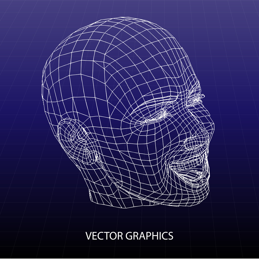 vektorový model tváře. - Vektor, obrázek