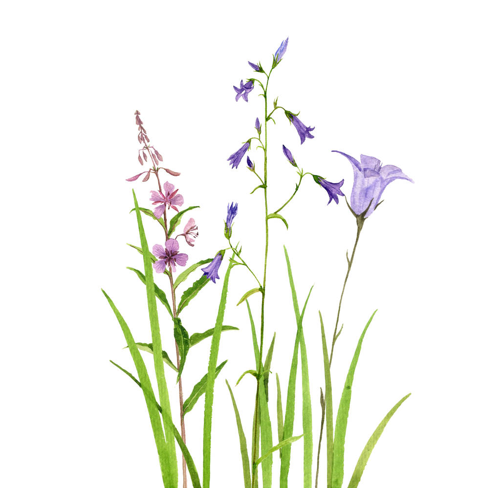 букет акварельных цветов - Фото, изображение