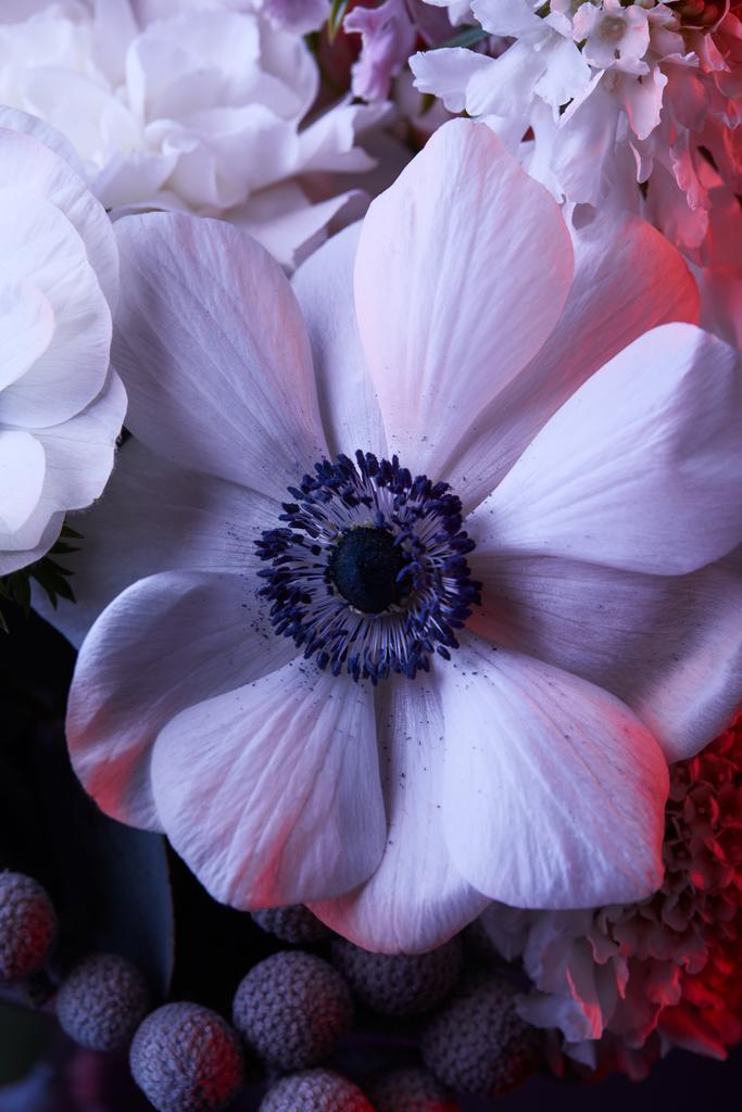 vista superior do buquê de flores brancas
 - Foto, Imagem