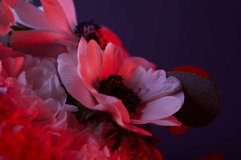 boeket bloemen in rood licht op donker - Foto, afbeelding