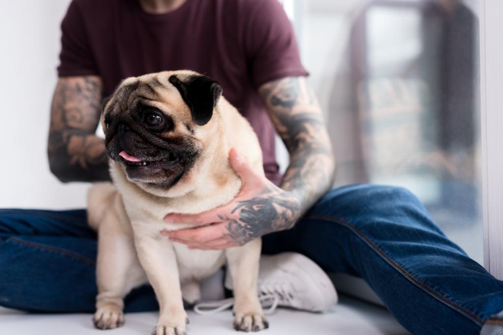 bijgesneden afbeelding van tattooed man knuffelen pug thuis - Foto, afbeelding