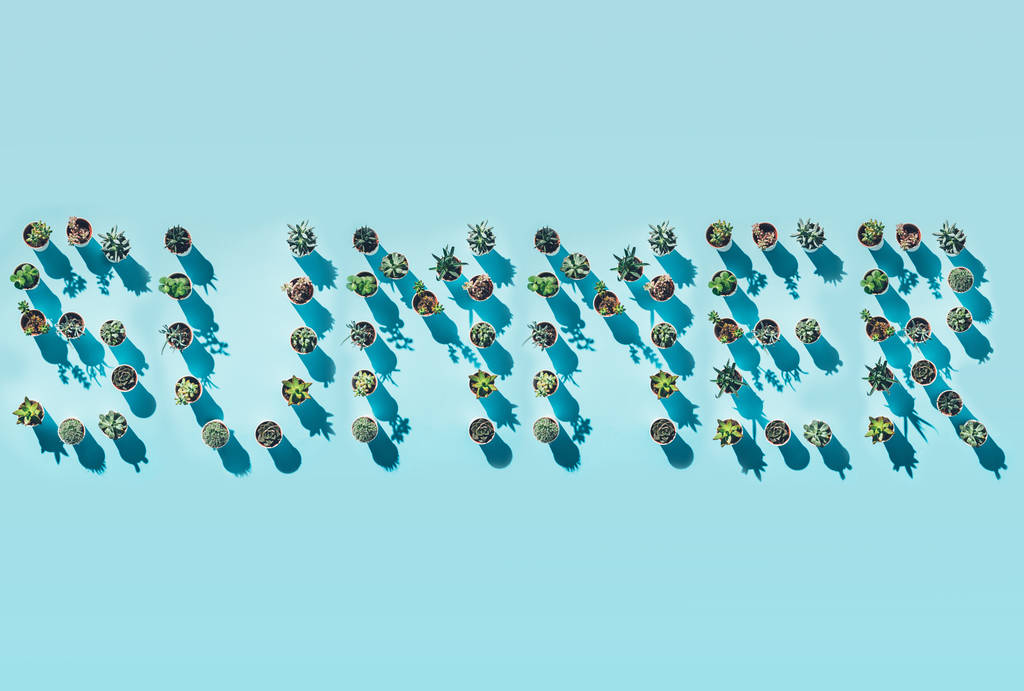 вид зверху на слово літо з зелених горщиків на синьому
 - Фото, зображення