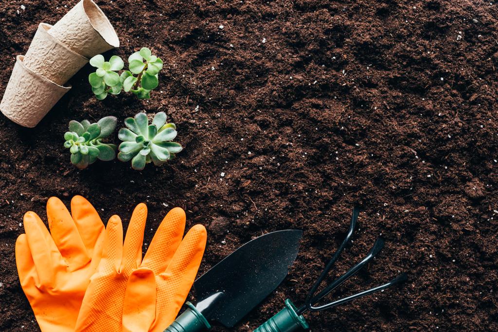 top view of green plants, gardening tools, empty pots and rubber gloves on soil  - Photo, Image