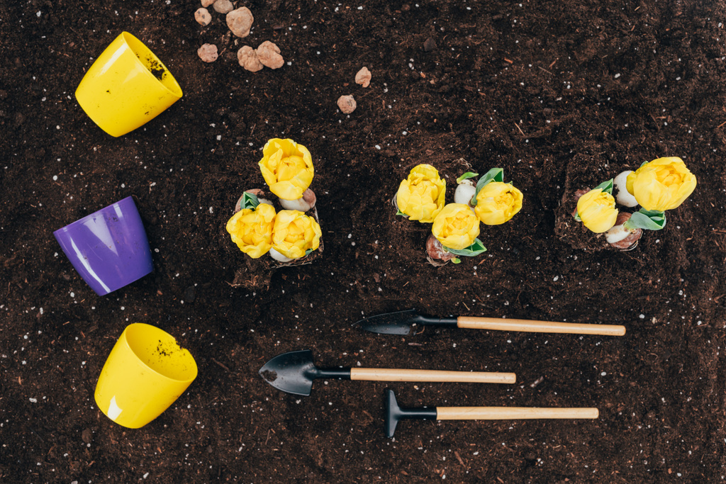 土、園芸工具および地面に植木鉢の花を黄色のトップ ビュー - 写真・画像