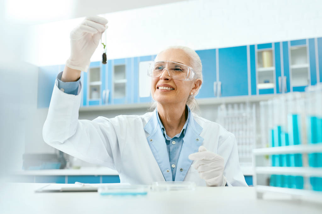 Scientist With Plant In Scientific Laboratory - Photo, Image