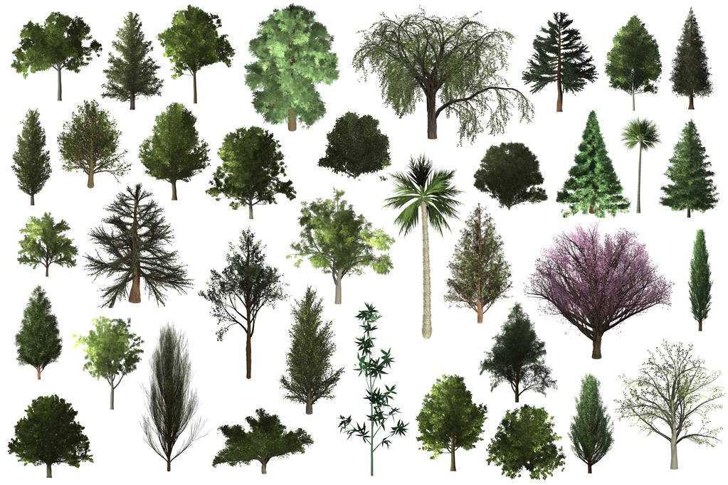 conjunto de árboles para el diseño de paisaje de arquitectura
 - Foto, imagen