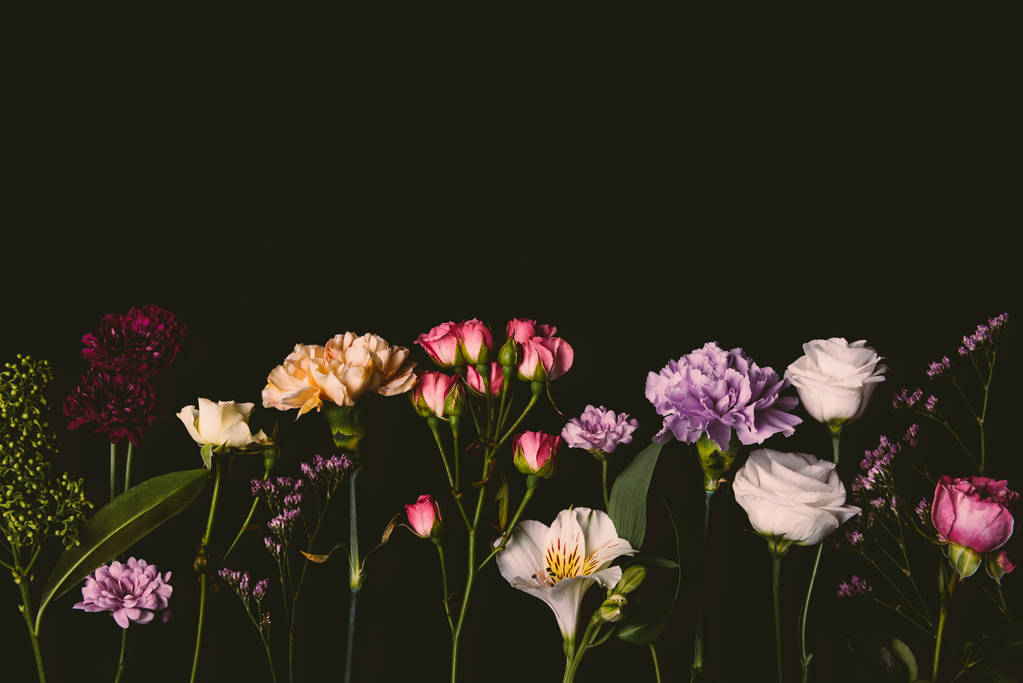 mooie verschillende verse bloeiende bloemen geïsoleerd op zwart - Foto, afbeelding