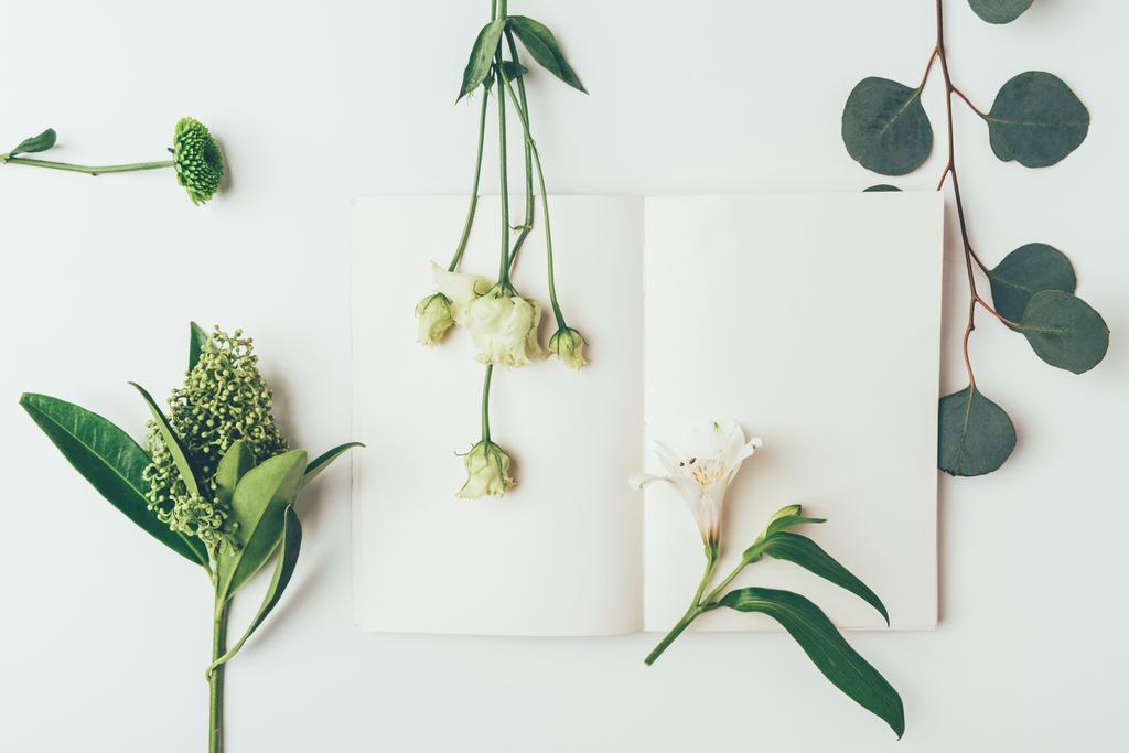 グレーの美しい柔らかい花と空白のカードが付いている植物の上から見る - 写真・画像