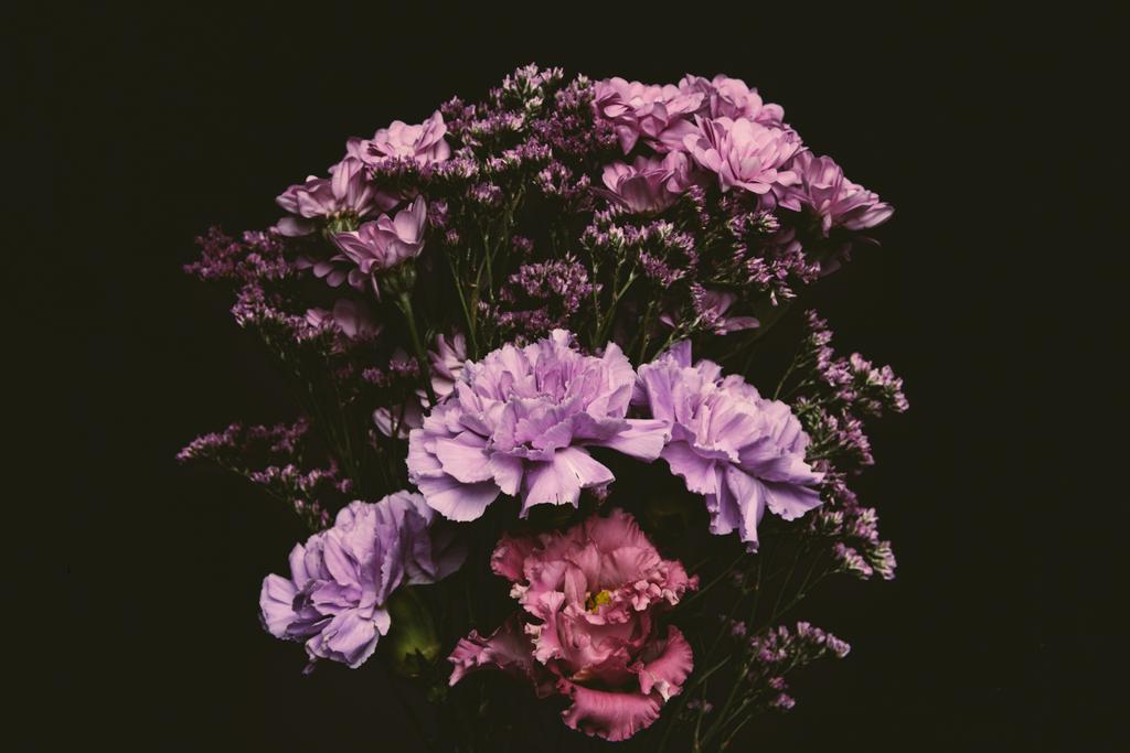 γκρο πλαν θέα όμορφη τρυφερό ροζ και μοβ λουλούδια που απομονώνονται σε μαύρο  - Φωτογραφία, εικόνα