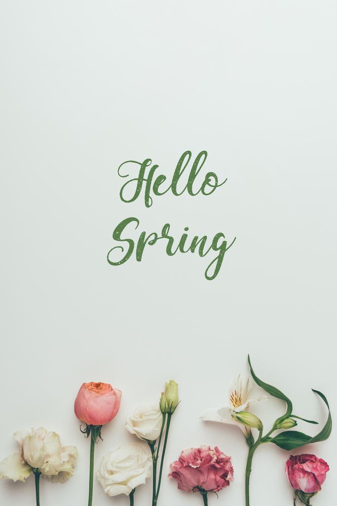 mooie tedere bloeiende bloemen en inscriptie Hallo lente op grijs - Foto, afbeelding
