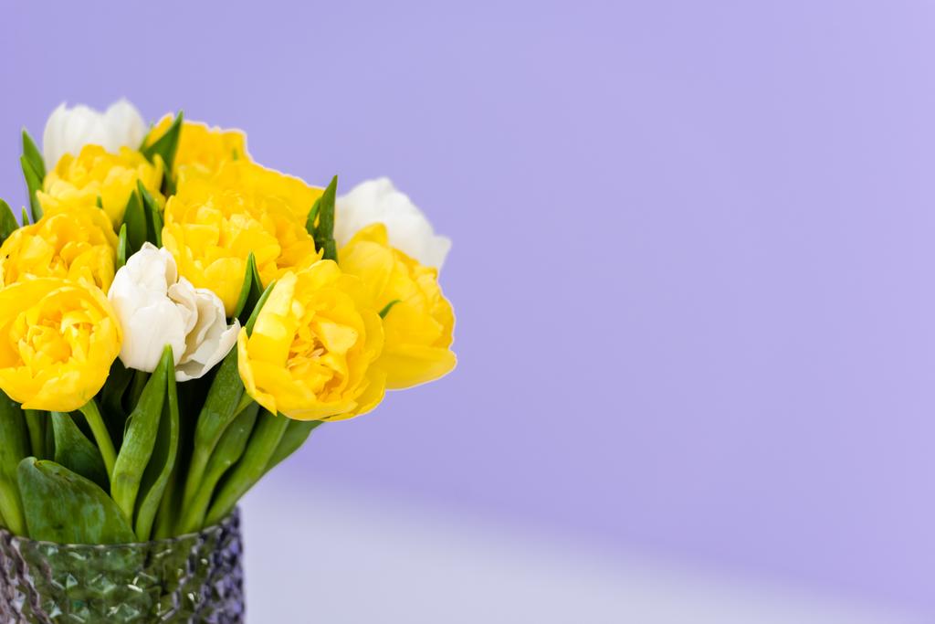 8 marzo bouquet celebrazione di teneri fiori di tulipano primavera in vaso sulla viola
 - Foto, immagini
