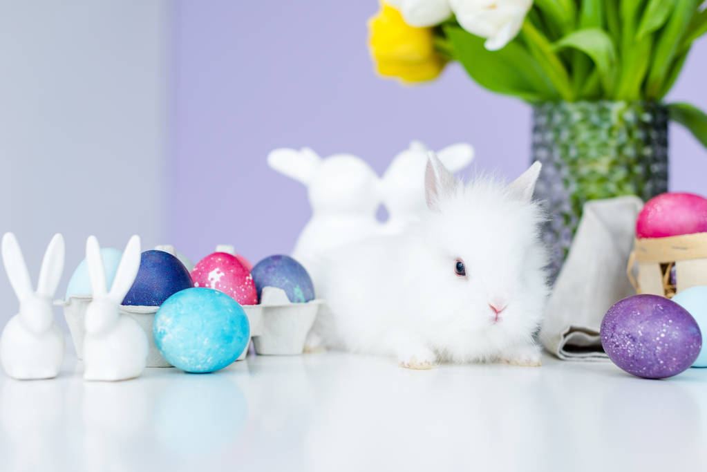 Bunny in nest on table by Easter eggs - Photo, Image