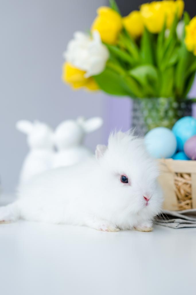テーブルの上の塗装イースターエッグでかわいいウサギ - 写真・画像