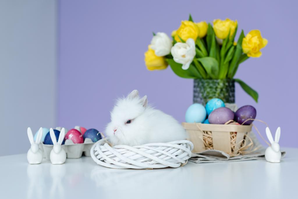 Coelho fofo bonito por ovos pintados na mesa com decoração de Páscoa
 - Foto, Imagem