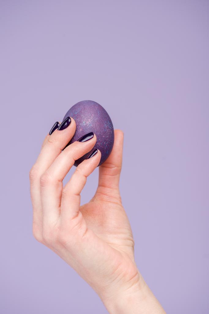 Main féminine avec oeuf de Pâques violet isolé sur violet
 - Photo, image