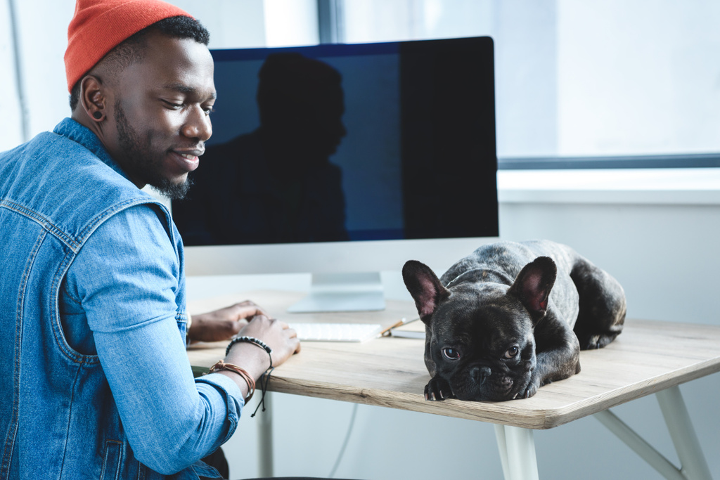 Cane annoiato in attesa che l'uomo afroamericano finisca il lavoro al computer
 - Foto, immagini