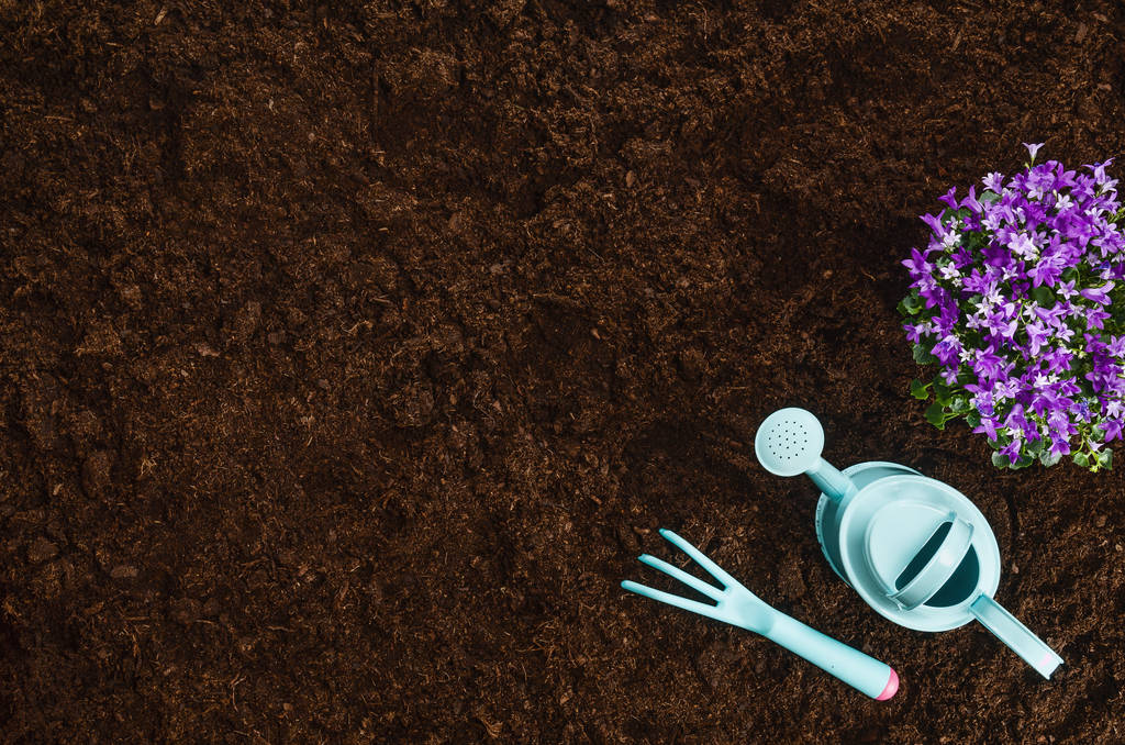 Gardening tools on garden soil texture background top view - Photo, Image