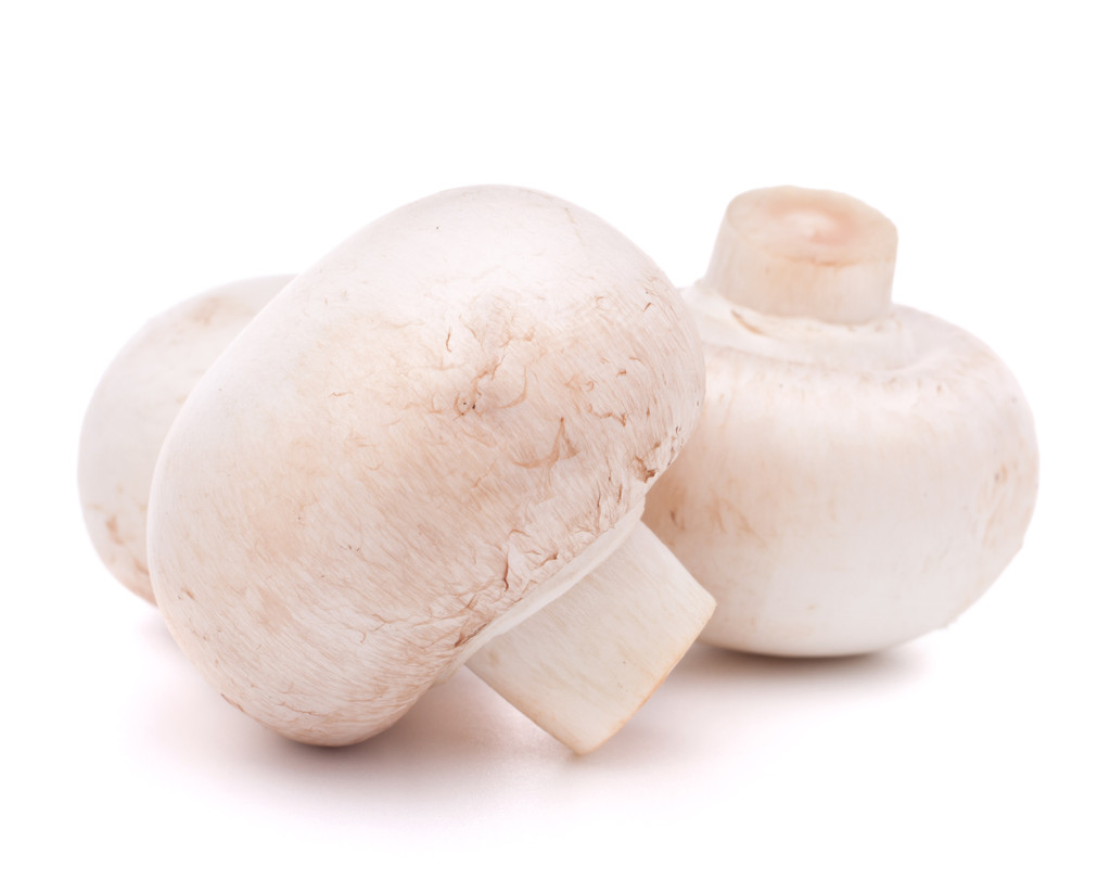 champignon, paddenstoel - Foto, afbeelding