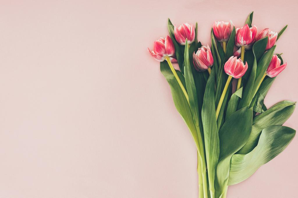 csokor zöld levelekkel, Pink, rózsaszín tulipánok - Fotó, kép
