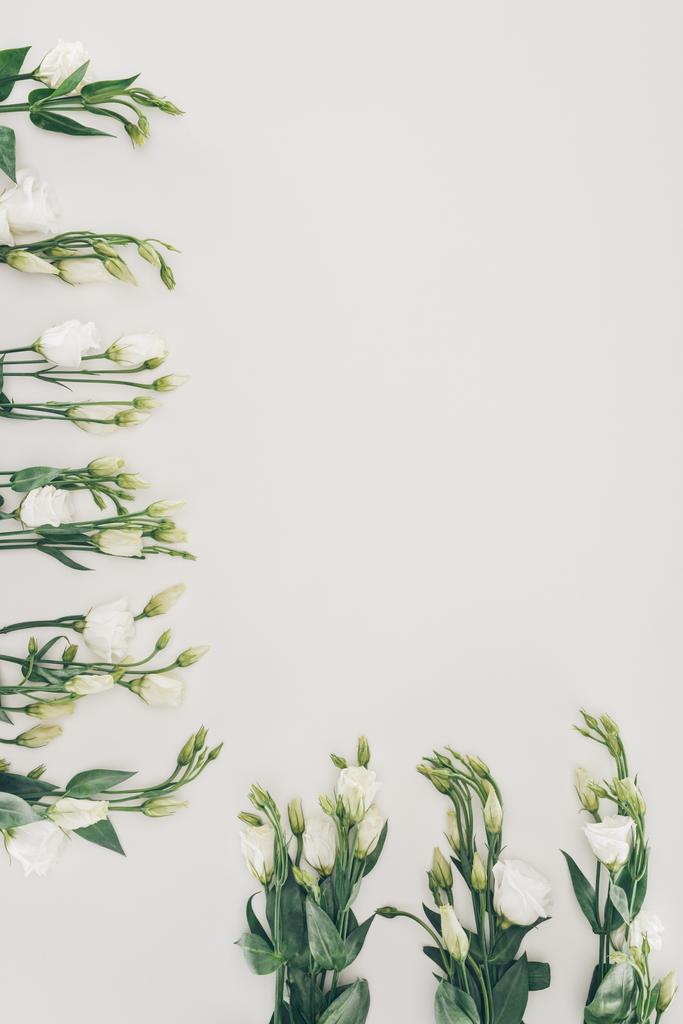 mooie witte eustoma bloemen op grijze achtergrond - Foto, afbeelding