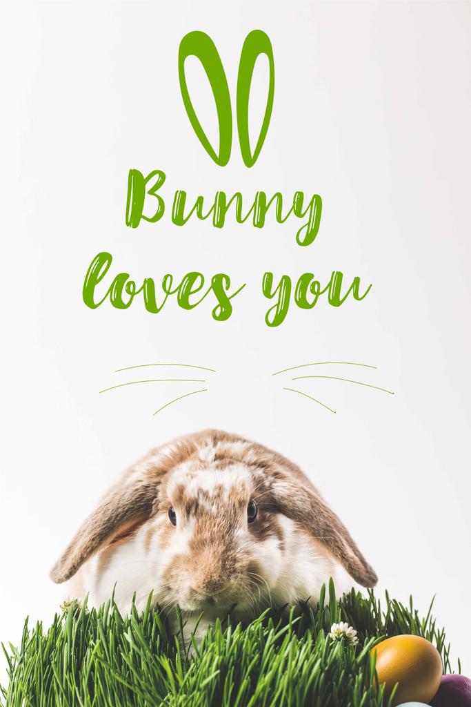 Rabbit looking at camera and sitting on grass with eggs and bunny loves you lettering - Photo, Image