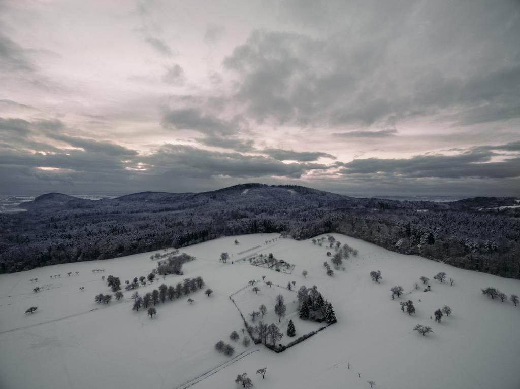 Winter - Foto, Bild