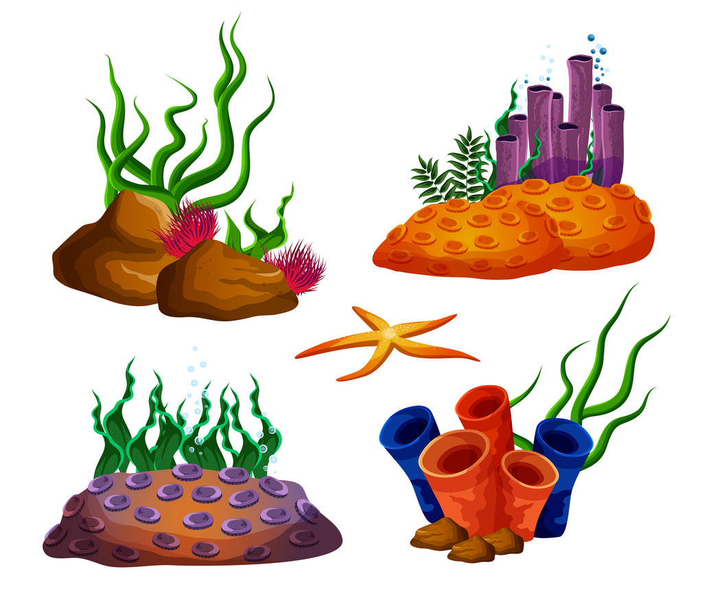 水中の海のサンゴ礁やサンゴ水槽 - ベクター画像