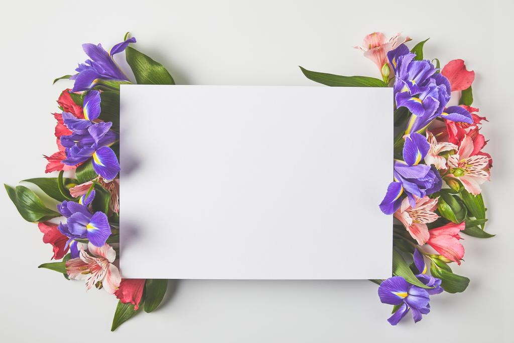top view of blank card and beautiful tender flowers on grey  - Photo, Image